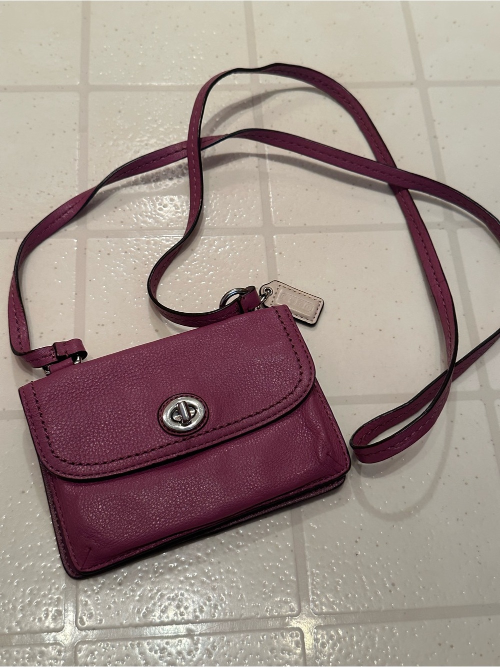 Coach Mini Purple Dylan Crossbody
Turlock